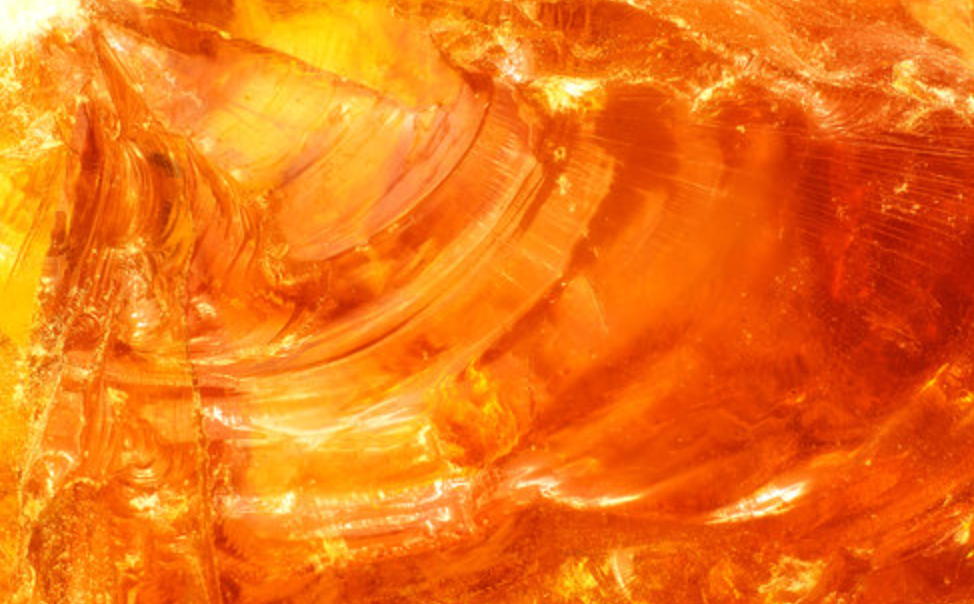 Amber Luxe