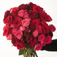 Red Romance | 4oz Discovery Set